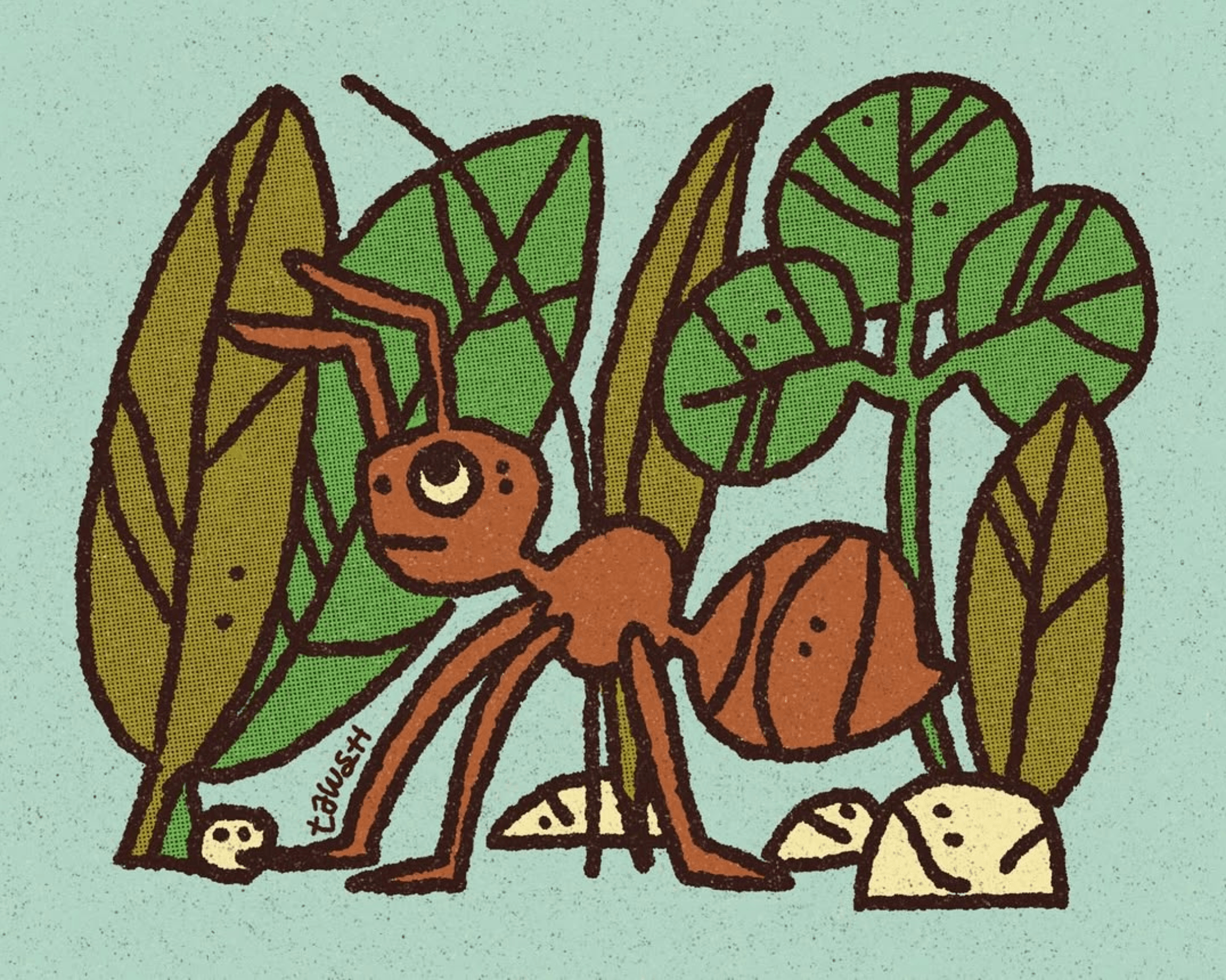 tawsh - Wandering ant