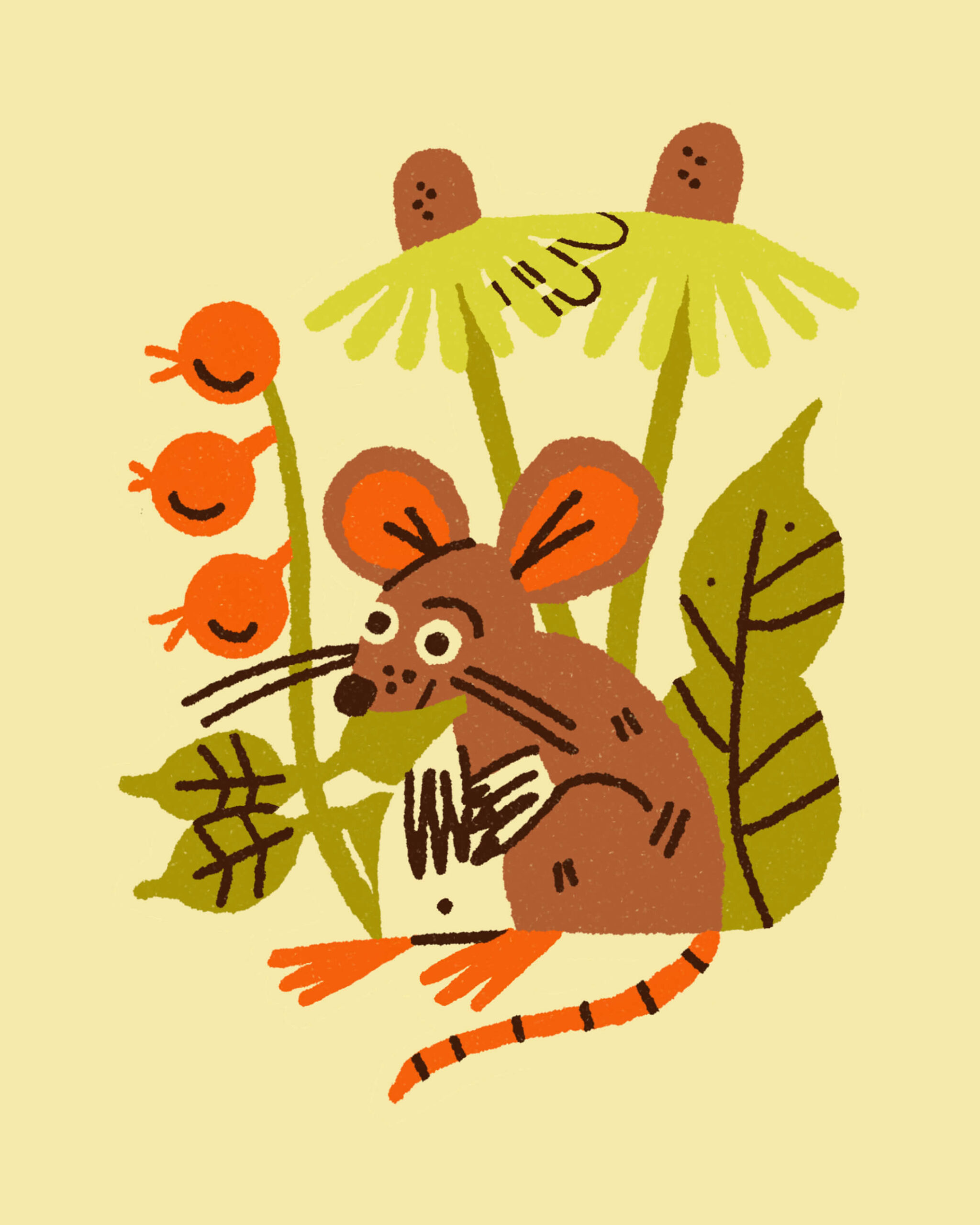 tawsh - Country mouse
